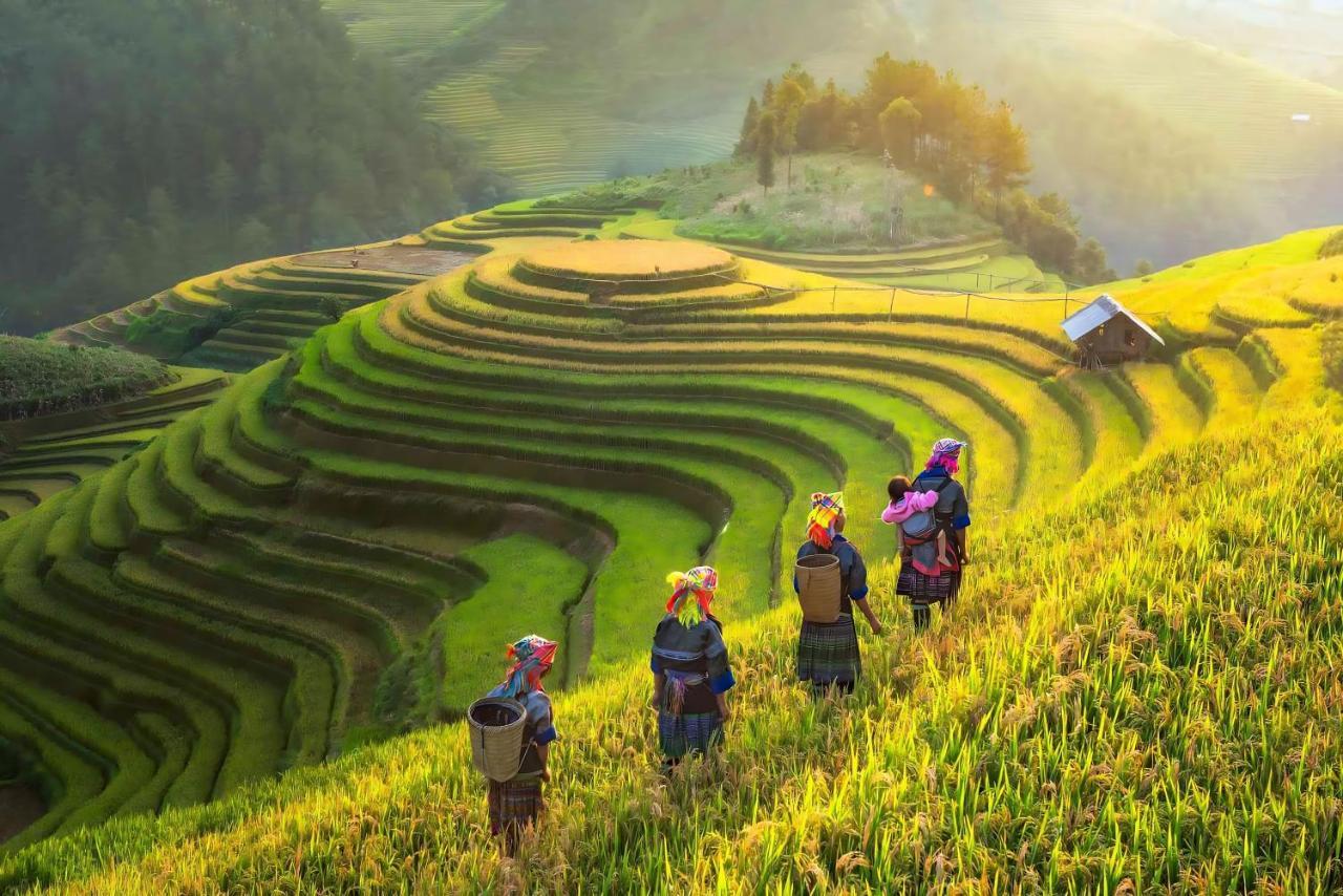 Central Sapa Charm Hotel Exteriör bild